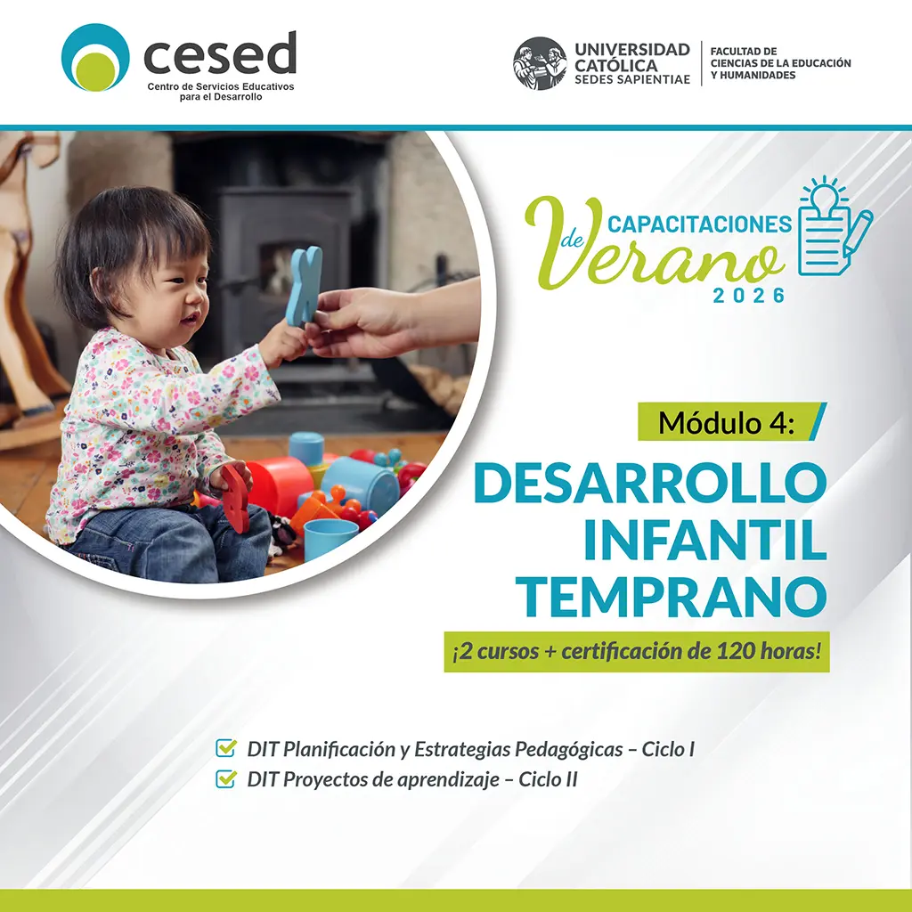 Curso CESED 6